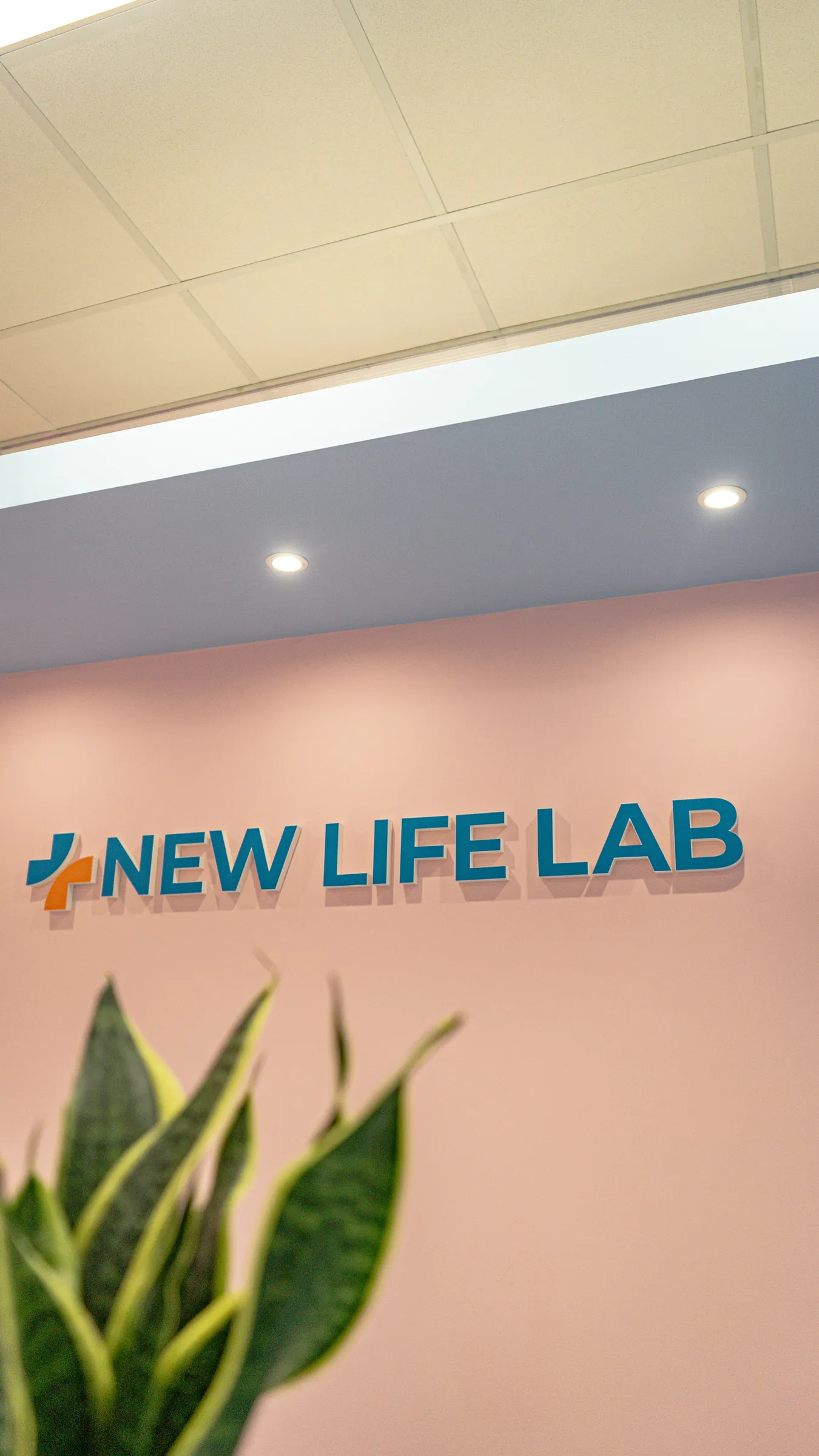 Il logo New Life Lab sulla parete rosa, con una pianta in primo piano