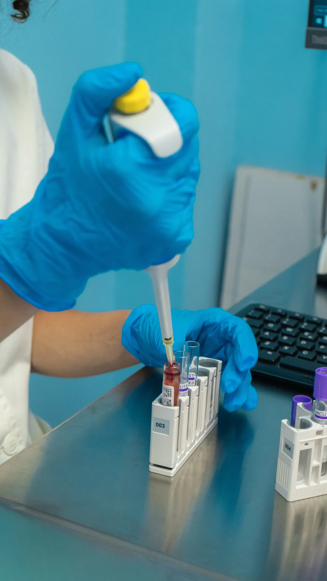 Provette nel rack, tenute da mani con i guanti blu